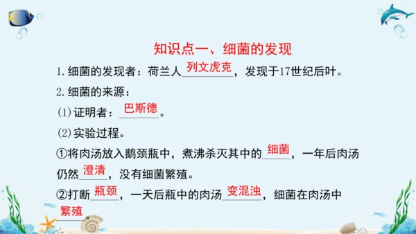 人教版八年级生物上册5.4《细菌和真菌》复习课件（含31张ppt）