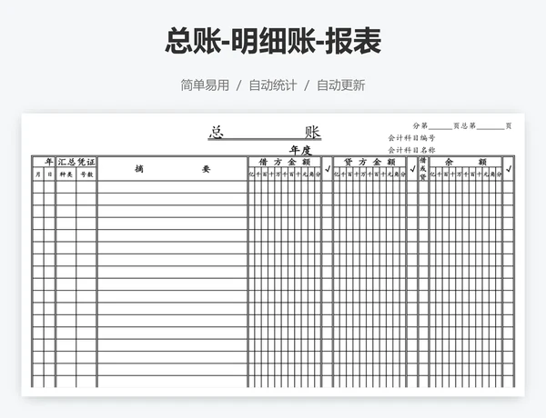 总账-明细账-报表