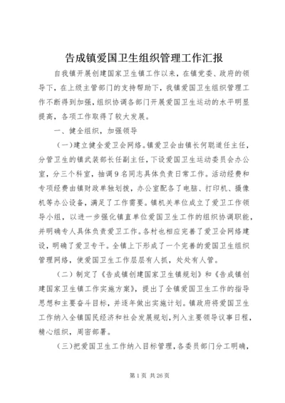 告成镇爱国卫生组织管理工作汇报.docx