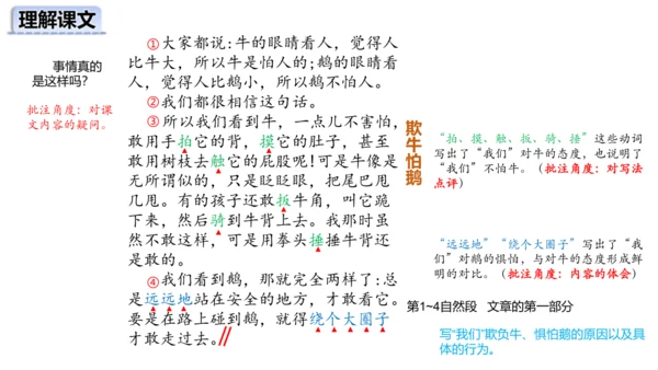 第18课《牛和鹅》第二课时（课件）