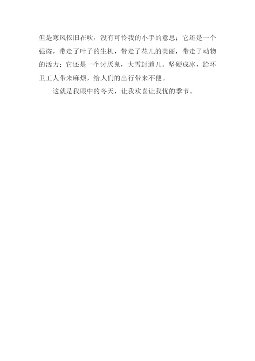 作文我眼中的冬天.docx