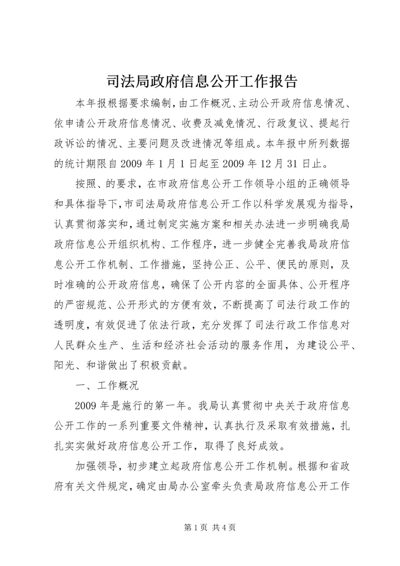 司法局政府信息公开工作报告.docx