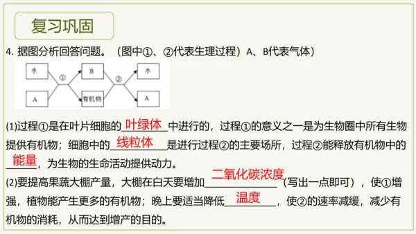 3.5.2 绿色植物的呼吸作用（课件）七年级生物上学期（人教版）(共32张PPT)