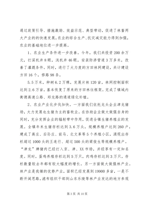 乡镇的年终总结范文.docx