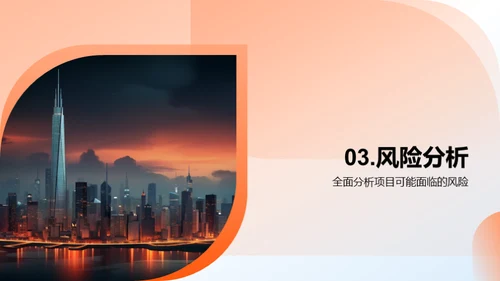 项目投资策略解析