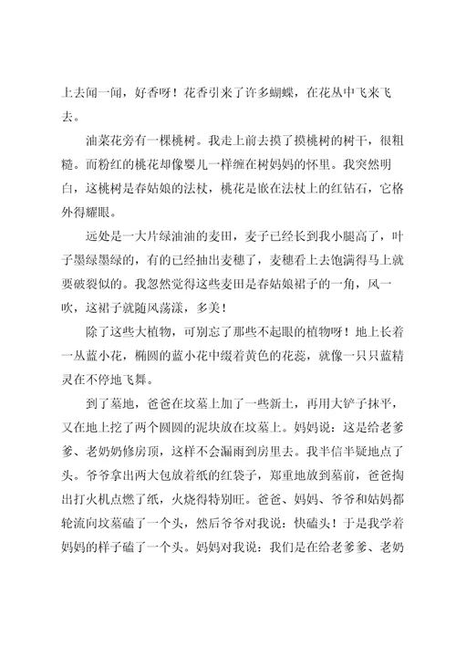 清明节小长假踏青游玩心得体会例文5篇