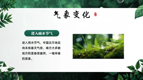 雨水节气通用PPT模板