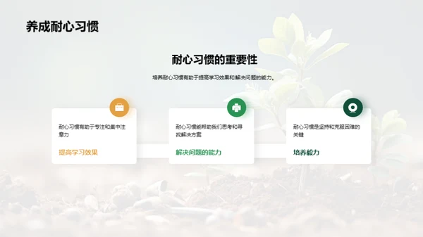 校园绿化：植树行动