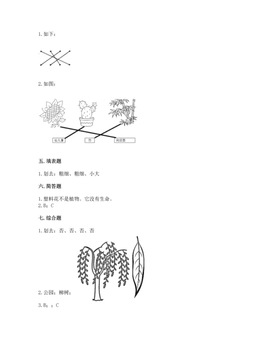 教科版科学一年级上册第一单元《植物》测试卷（易错题）.docx