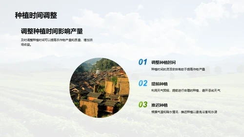 种植之道，成果之光