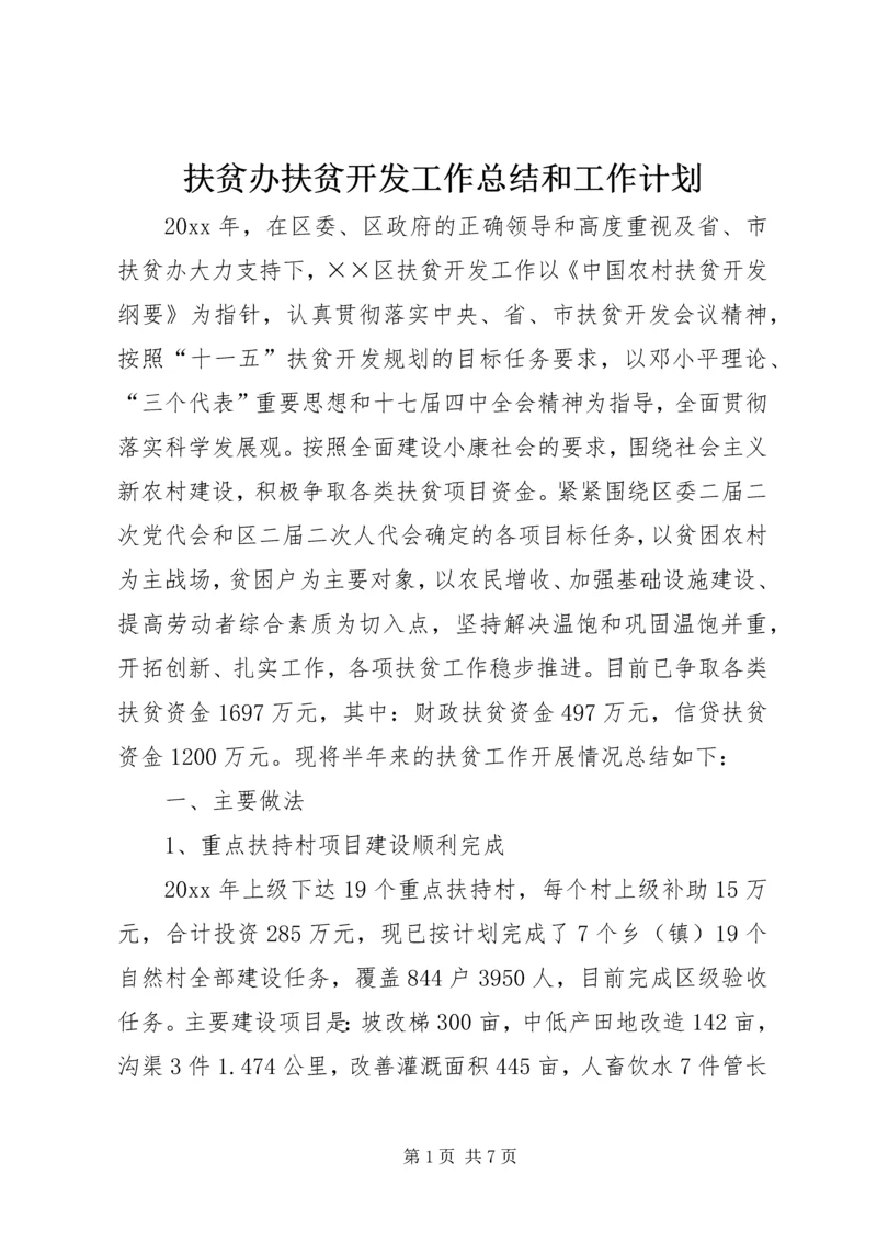 扶贫办扶贫开发工作总结和工作计划.docx