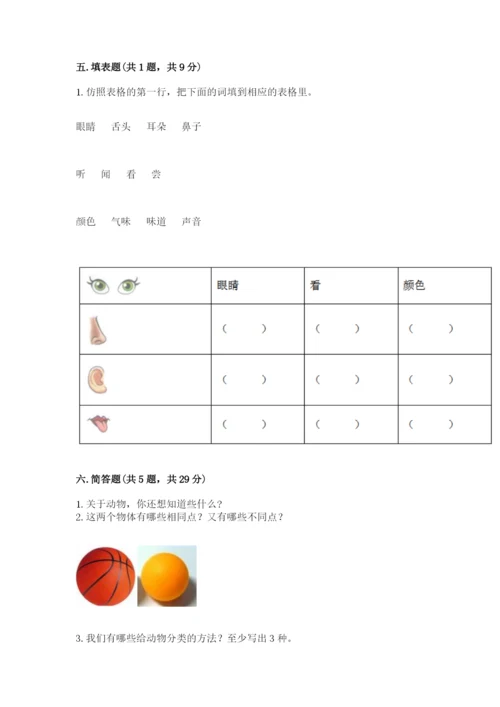 教科版小学科学一年级下册期末测试卷及参考答案（达标题）.docx