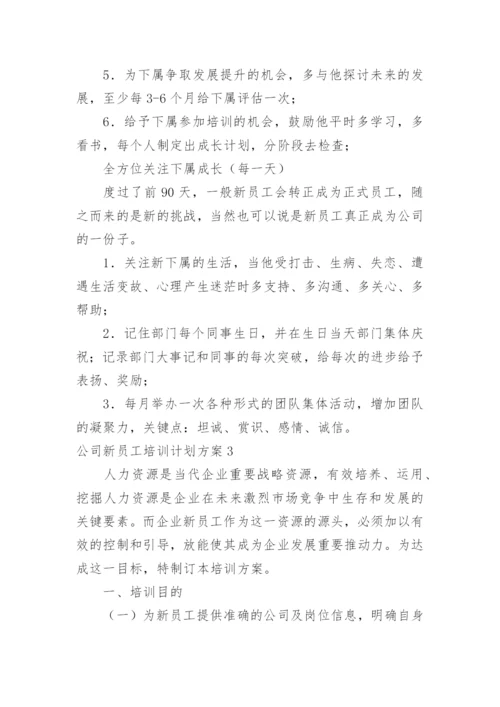 公司新员工培训计划方案.docx