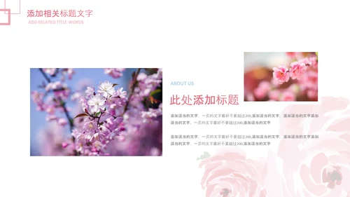妇联三八妇女节年终工作总结汇报PPT模板