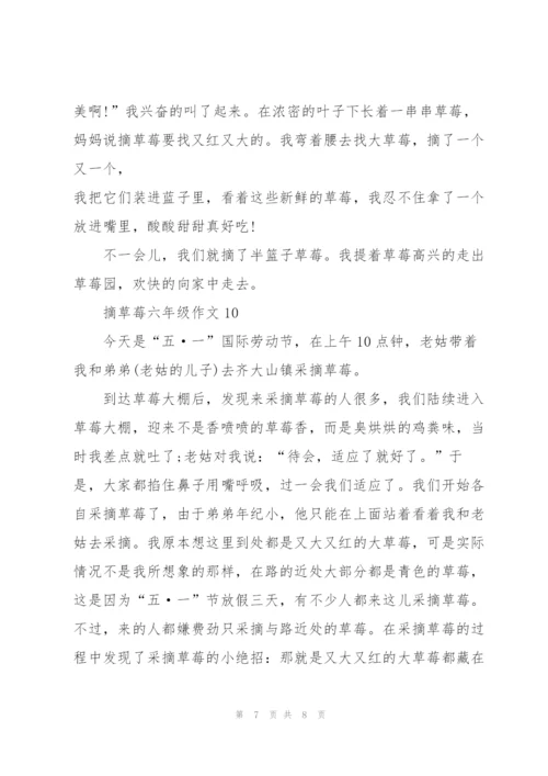 摘草莓六年级作文10篇.docx
