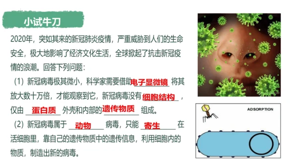 人教版生物八年级上册5.5《病毒》（课件）(共30张PPT)+视频素材