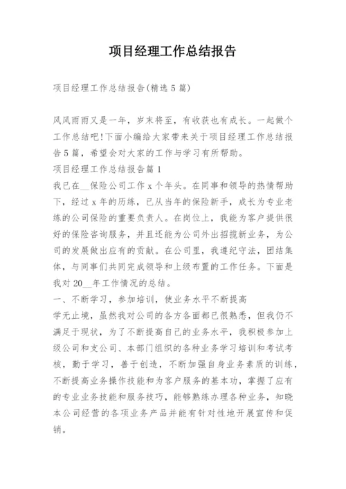 项目经理工作总结报告.docx