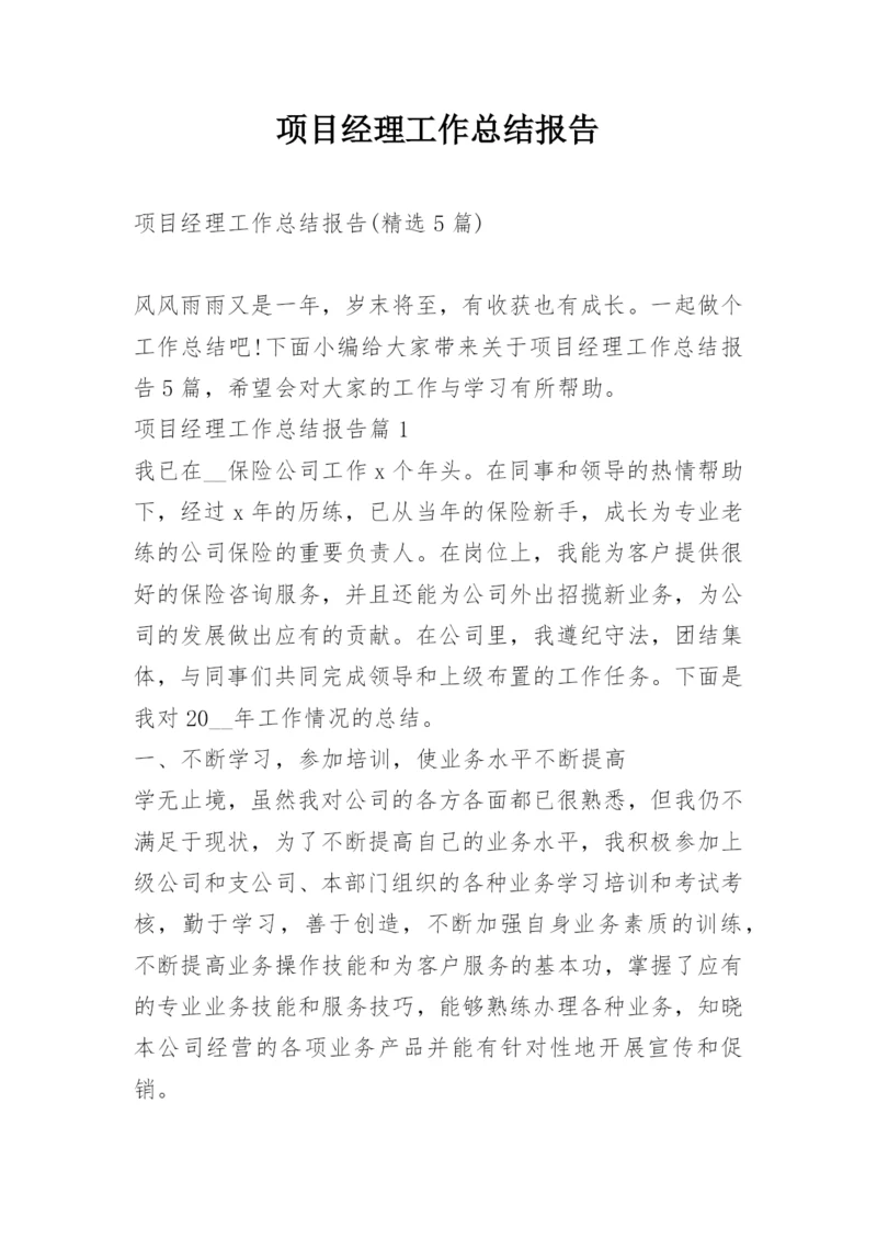 项目经理工作总结报告.docx