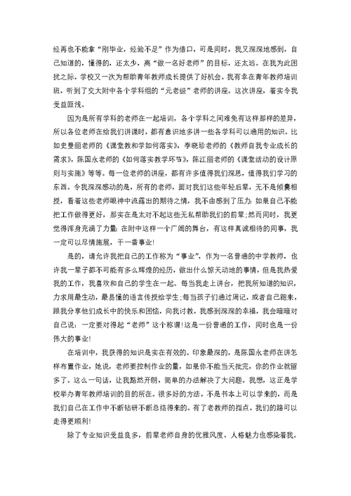 2022年高校大学教师培训心得范文五篇