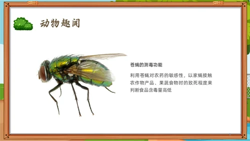 绿色小清新趣味科普小讲堂PPT课件主题班会
