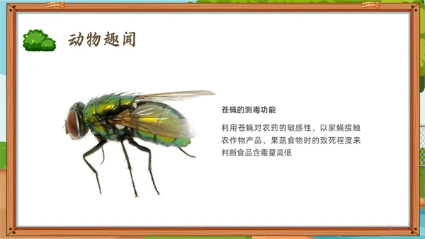 绿色小清新趣味科普小讲堂PPT课件主题班会