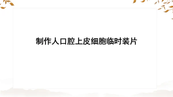 人教版（2024）七年级上册1.2.3动物细胞 课件(共27张PPT)