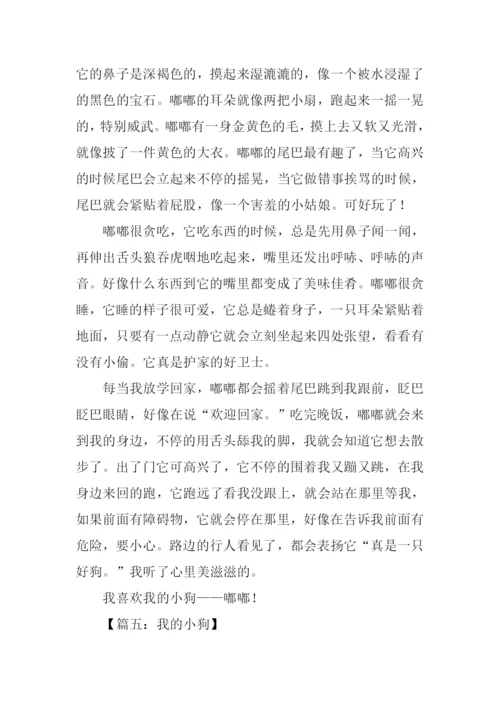 我的小狗作文600字.docx