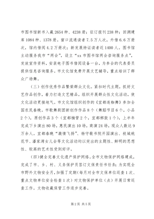 文化局上半年工作总结下半年工作计划.docx