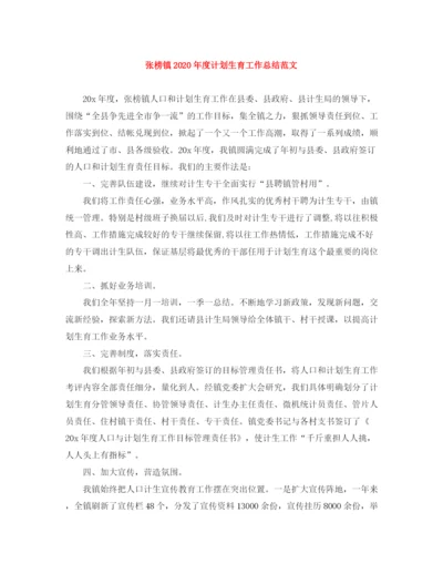 精编之张榜镇年度计划生育工作总结范文.docx