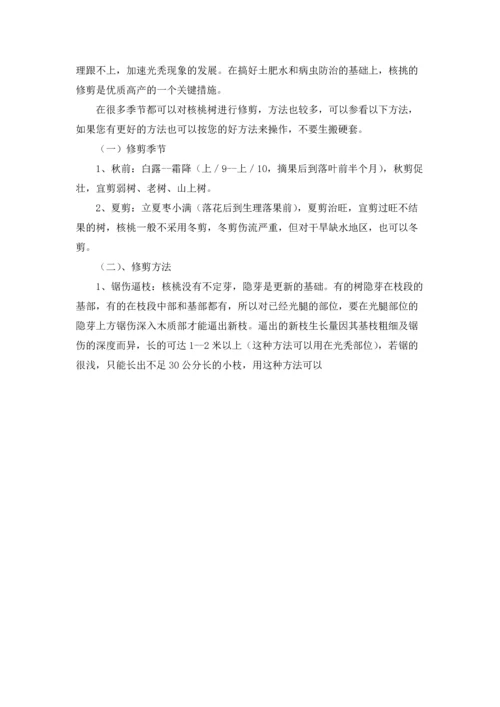 有关学生的实习报告合集五篇.docx