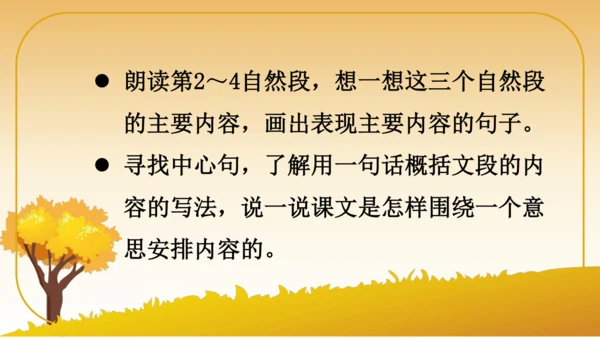 6 秋天的雨   课件