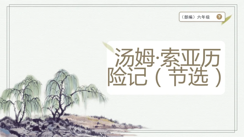 7 汤姆·索亚历险记（节选） 课件