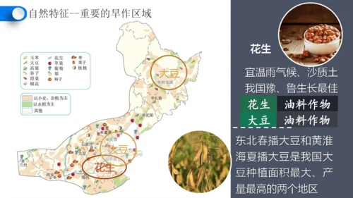 6.1自然特征与农业（课件28张）-人教版地理八年级下册