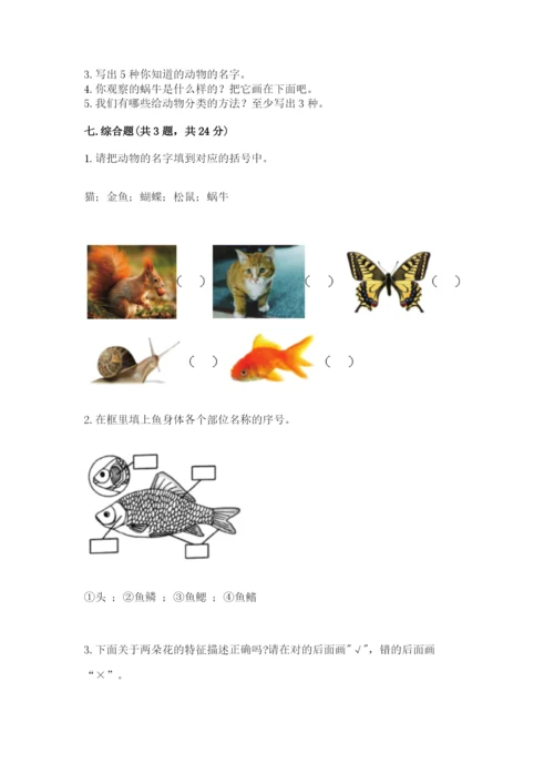 教科版一年级下册科学期末测试卷精品【a卷】.docx
