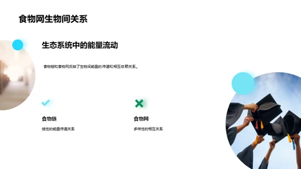 生态环境：平衡与保护