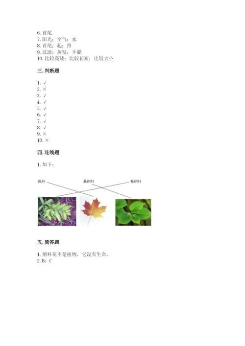 教科版一年级上册科学期末测试卷精品（含答案）.docx