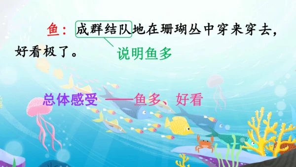 18.富饶的西沙群岛   课件