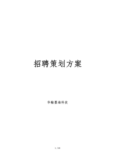 招聘网站策划实施方案.docx