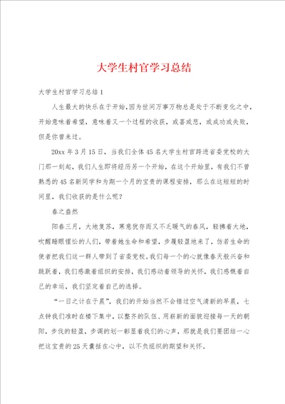 大学生村官学习总结