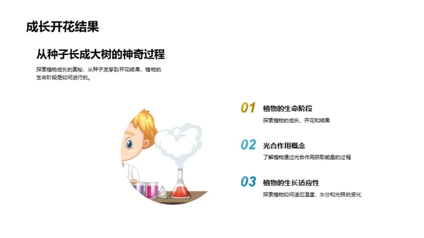 揭秘植物生长之旅