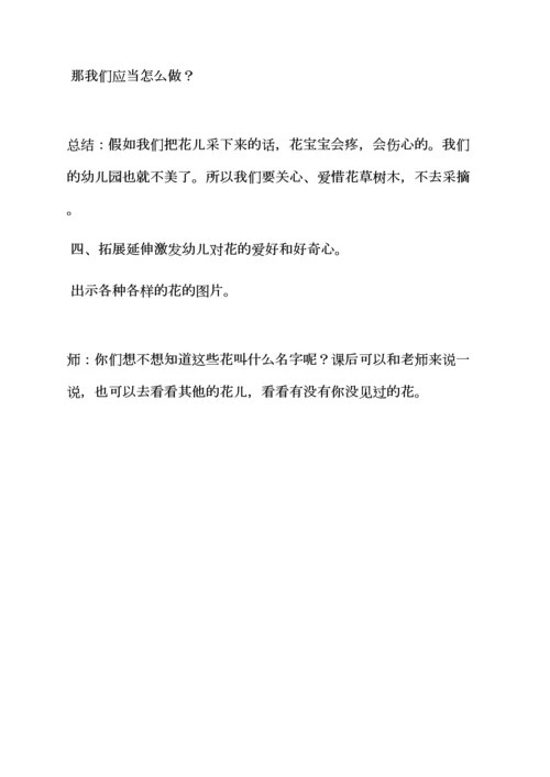 幼儿园科学教案的格式.docx