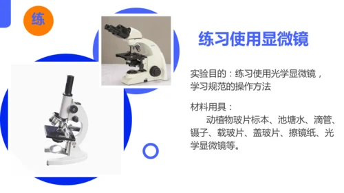 人教版（2024）七年级上册1.2.1 学习使用显微镜 课件(共29张PPT)