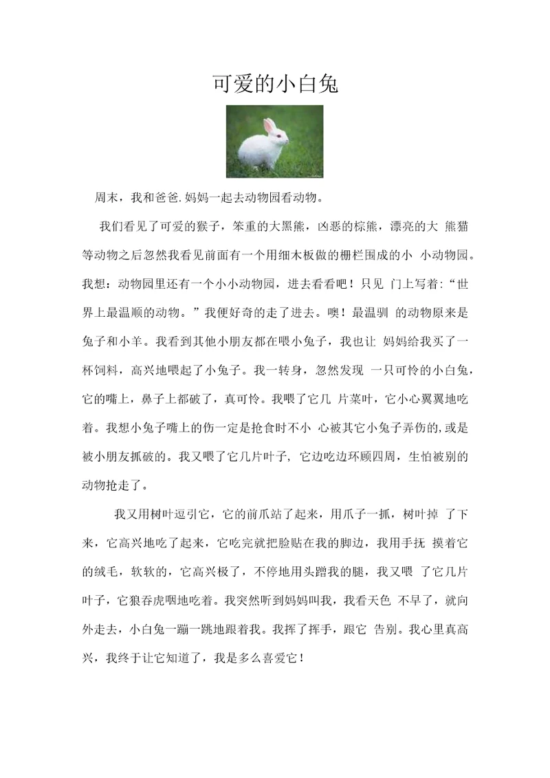描写小动物的作文。
