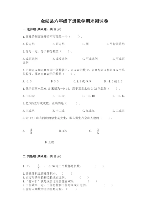 金湖县六年级下册数学期末测试卷（实用）.docx