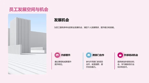 IT互联网公司人才培养计划