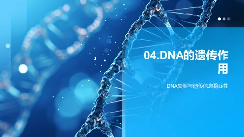 探秘生命密码：DNA