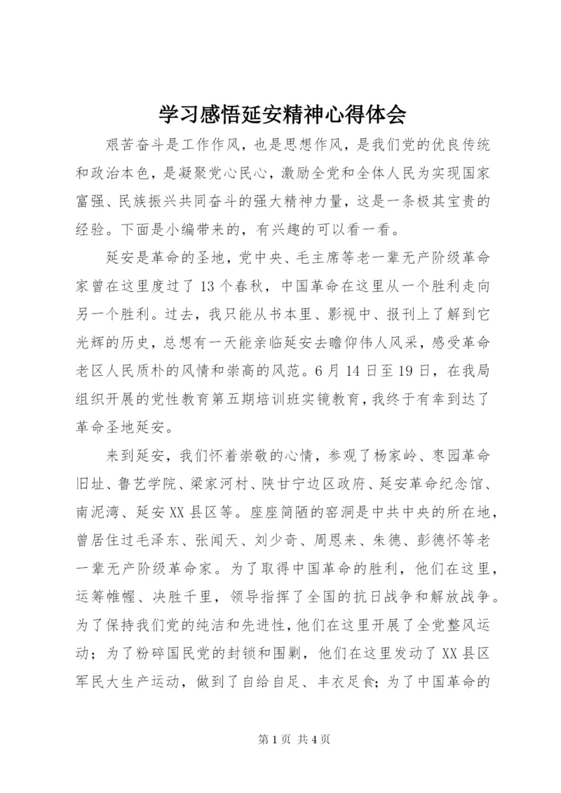 学习感悟延安精神心得体会.docx