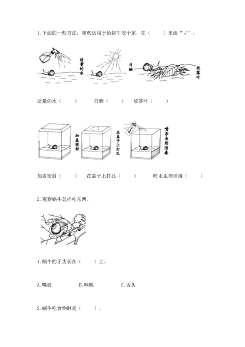 教科版一年级下册科学期末测试卷含完整答案【历年真题】.docx