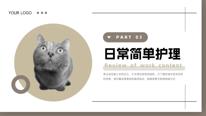 黄色系干净宠物健康护理介绍PPT模板