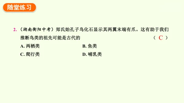 7.3.2生物进化的历程-八年级生物人教版下学期同步精品课件(共34张PPT)